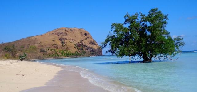 Oa dan Rako, Dua Pantai Cantik di Flores Timur