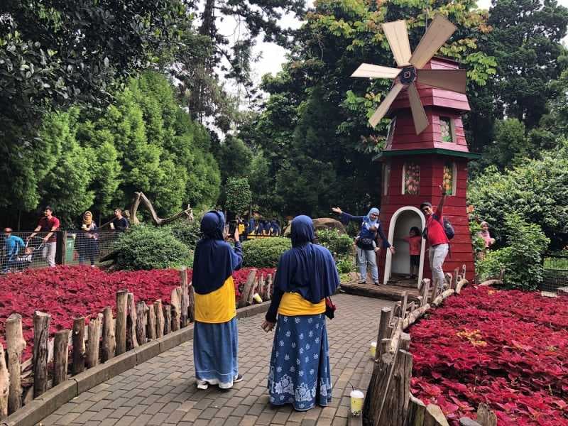 4 Potret Spot Instagrammable di Farm House Lembang Bandung