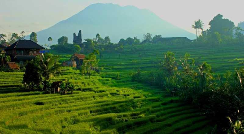 Asyiknya Berwisata Panorama Sawah