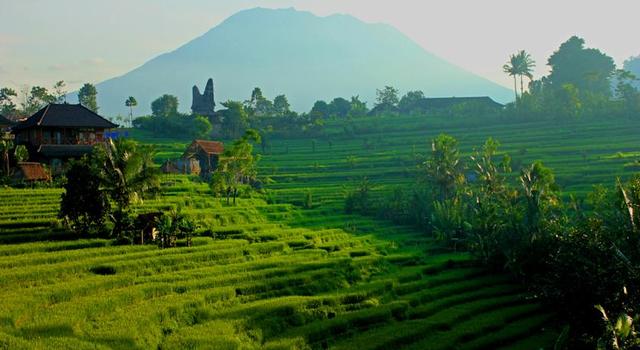 Asyiknya Berwisata Panorama Sawah