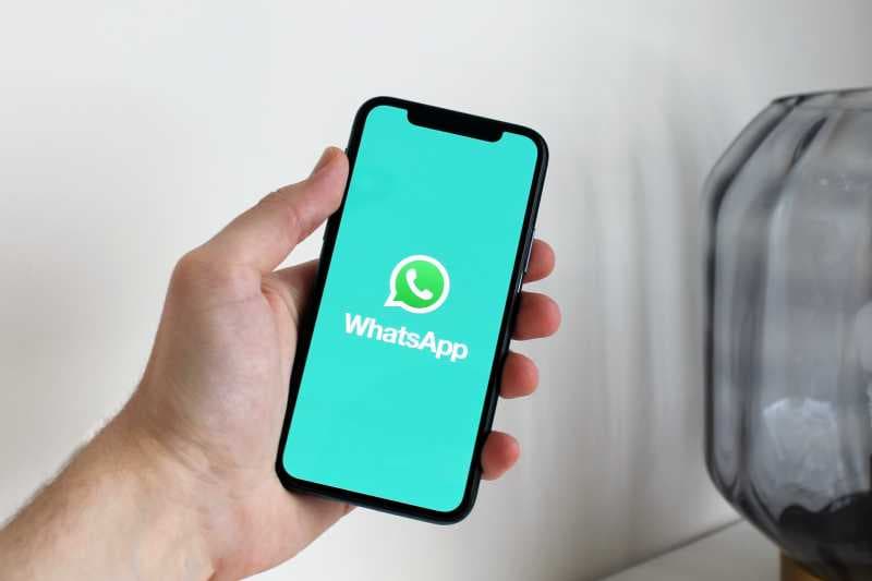VIDEO: 10 Istilah Hits yang Sering Dipakai Pengguna WhatsApp
