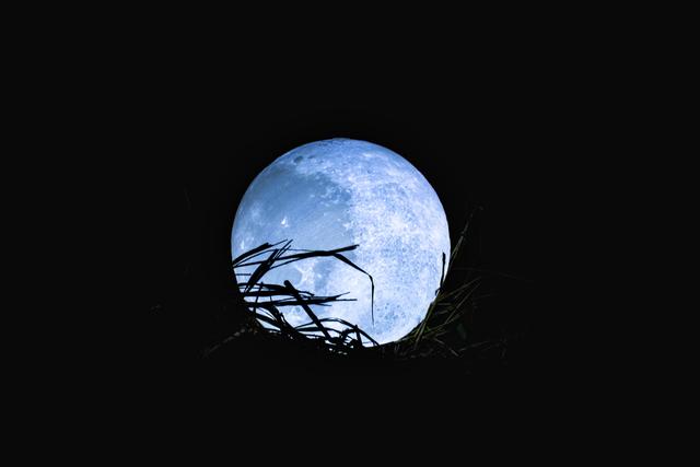 Blue Moon Terangi Langit di Minggu Malam, Kenapa Bisa Terjadi?