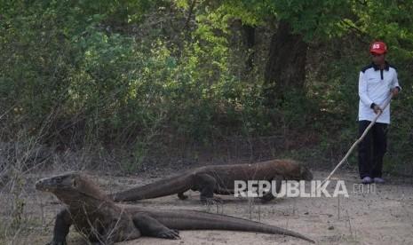 Taman Nasional Komodo akan Batasi Jumlah Pengunjung