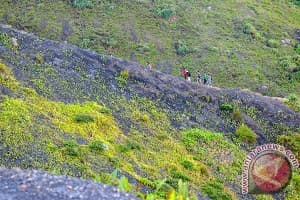 Taman Wisata Alam Bukit Kaba Dibuka Kembali