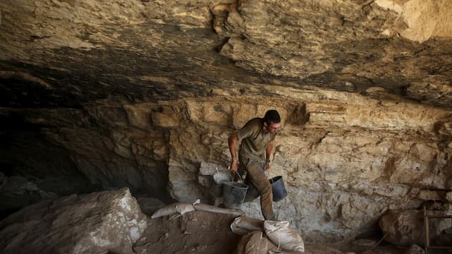 Arkeolog Temukan Tulang Hewan Purba Berusia 350.000 Tahun 
