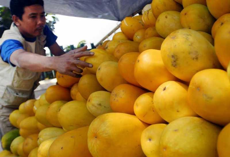 Penjual Timun Suri Raup Untung di Bulan Ramadhan 