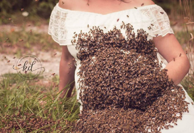  Rayakan Kehamilan, Ibu Ini Foto dengan 20 Ribu Lebah di Perutnya 