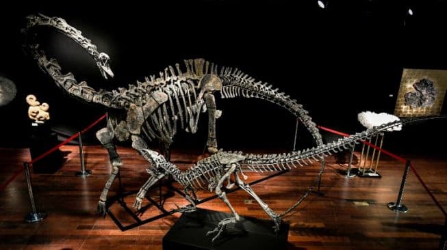Dua Dinosaurus Terjual Seharga Rp48,4 Miliar dalam Lelang