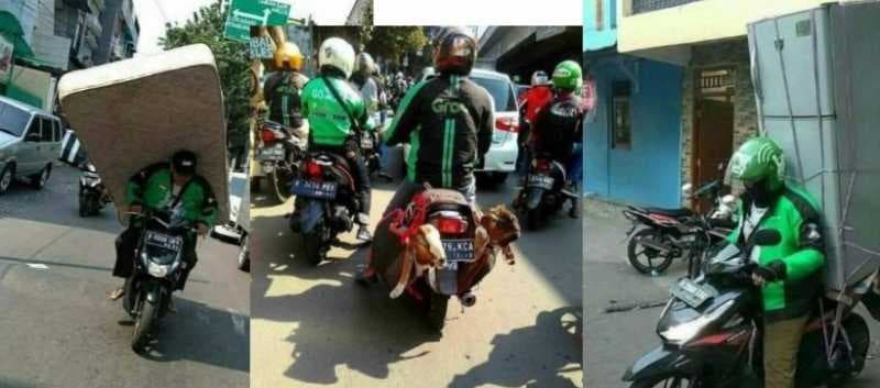 5 Potret Perjuangan Driver Ojek Online Antar Barang Tak Lazim