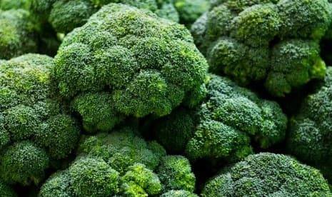 Cara Terbaik Olah Brokoli Agar Dapat Nutrisi Maksimal