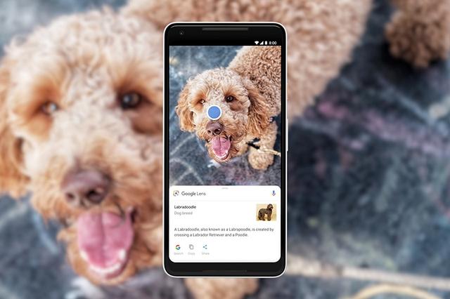 Keren! Google Lens Kini Bisa Kenali 1 Miliar Item