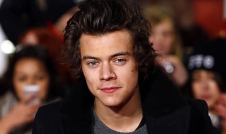 Harry Styles Dilecehkan Penggemarnya Saat Konser