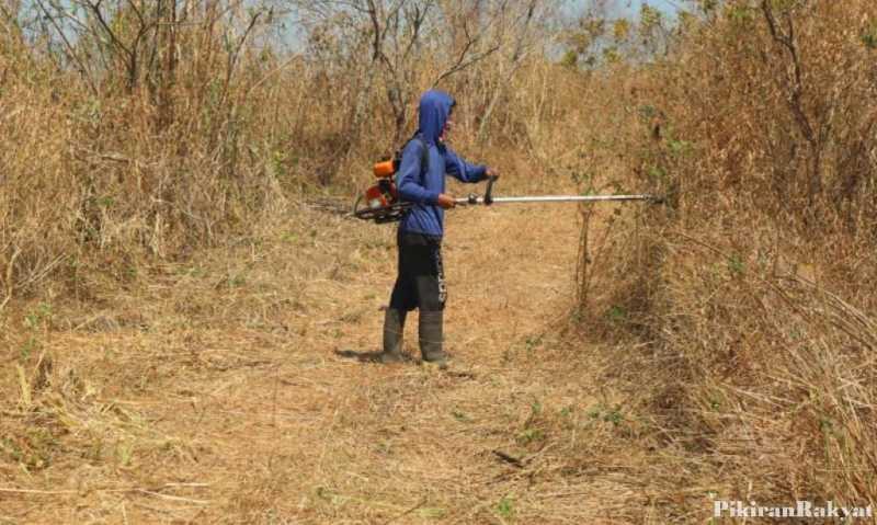 Lereng Utara Gunung Ciremai Masih Rawan Terbakar