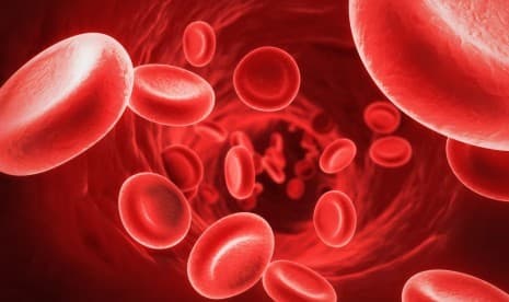 Anemia Bisa Disebabkan oleh Cacing dan Malaria