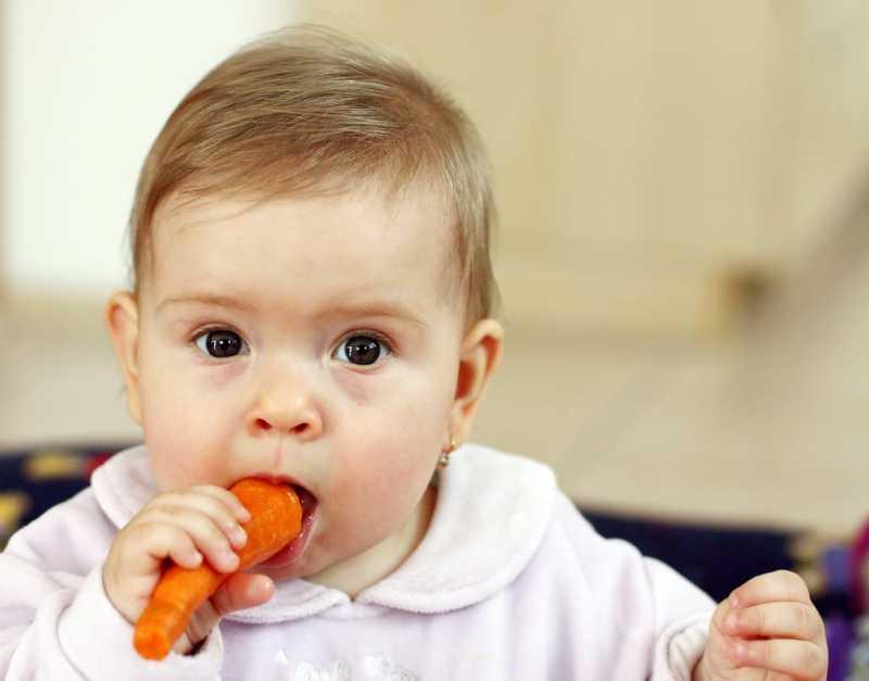 7 Pilihan MPASI Terbaik untuk Baby Led Weaning