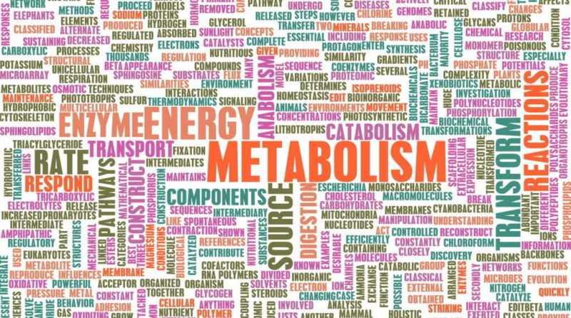 Berbagai Penyakit Akibat Gangguan Metabolisme