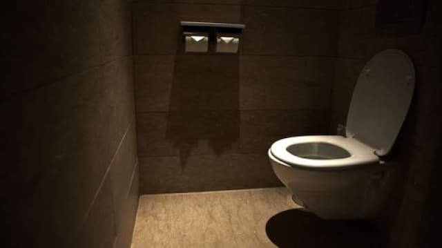 5 Hari Duduk di Toilet, Pria Ini Sengaja Ingin Cetak Rekor Dunia