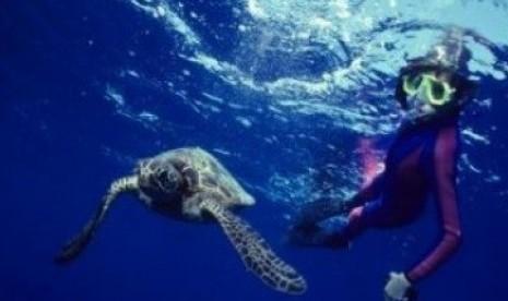 Parigi Moutong Kembangkan Wisata Bawah Laut