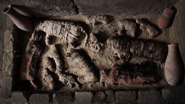Arkeolog di Mesir Temukan Makam Kuno Berisi Mumi Kucing