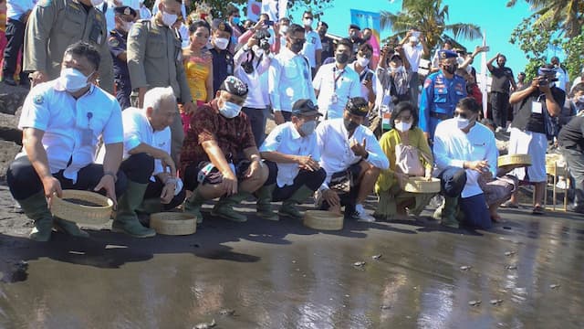 Gaet KKP, Indosat Ooredoo Hutchison Bikin Program Konservasi Laut